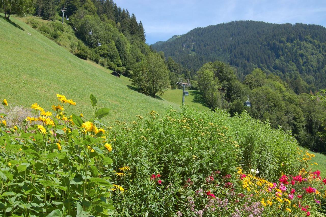 Appartements Karin Mitten Im Gruenen Schoppernau Zewnętrze zdjęcie